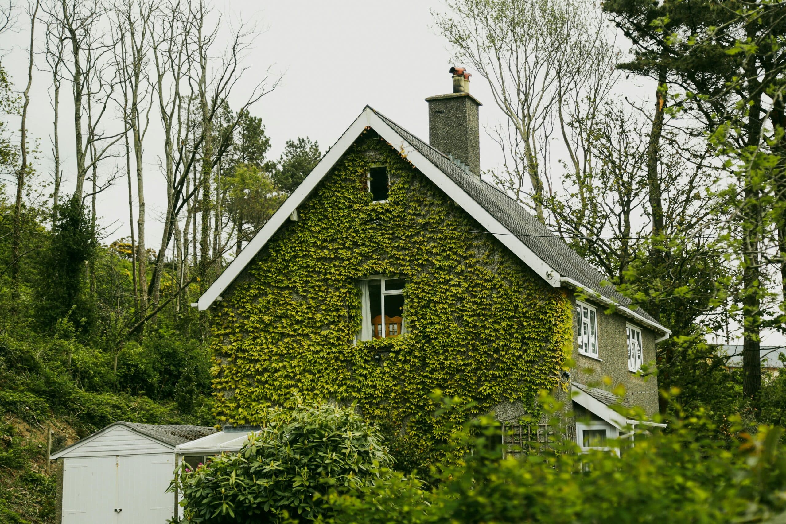 Spring Gardening Tips: Avoid Subsidence